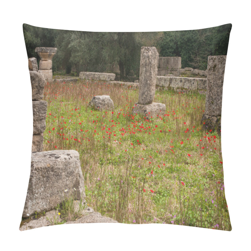 Personality  Ancient Greek ruins of Ancient Olimpia pillow covers