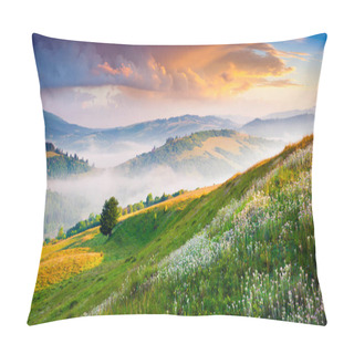 Personality  Blooming White Flowers In The Summer Mountains. Colorful Sunrise Ion Borzhava Ridge, Carpathian Mountains, Ukraine, Europe.  Pillow Covers