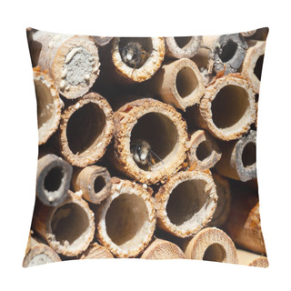 Personality  Mason Bees At An Insect Hotel In Spring Pillow Covers