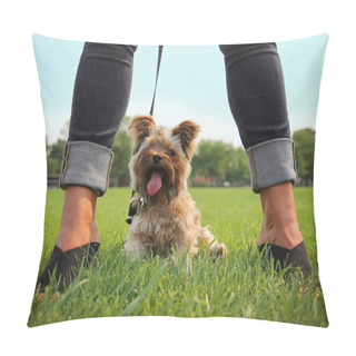 Personality  Yorkshire Terrier Between Female Legs Pillow Covers