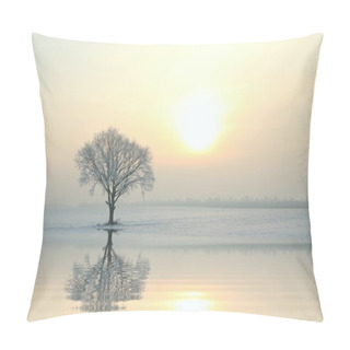 Personality  Winter Landscape Of Frosted Tree At Sunrise Pillow Covers