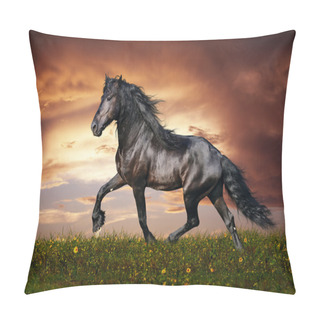 Personality  Black Friesian Horse Trot Pillow Covers