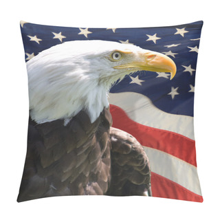 Personality  American Eagle Pillow Covers