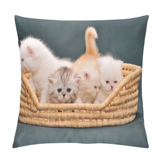 Personality  Small British Kittens In A Basket On A Dark Background. Pillow Covers