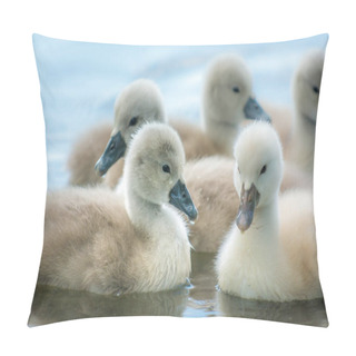 Personality  Beautiful Young Swans Pillow Covers