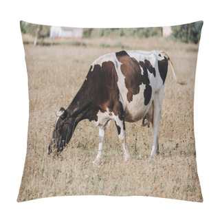 Personality  Rural Scene With Domestic Cow Grazing On Field In Countryside  Pillow Covers