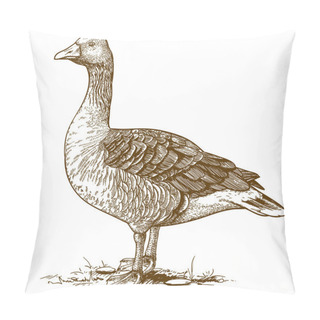 Personality  Vector Engraving Goose On White Background Pillow Covers