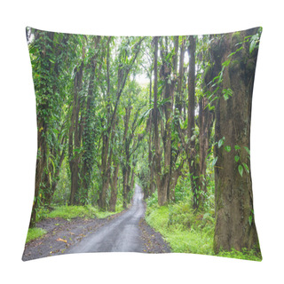 Personality  Dirt Road In Remote Jungle In Big Island, Hawaii Pillow Covers