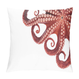 Personality  Beautiful Of A Squid Tentacles Isolated On White Background Pillow Covers
