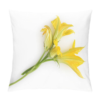 Personality  Zucchini Flowers Isolated On White Background Pillow Covers