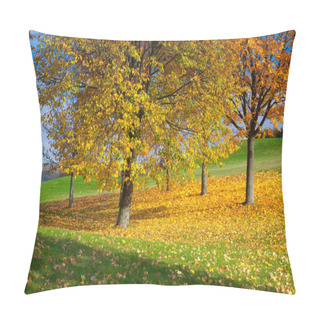 Personality  City Park With Autumn Colors  Pillow Covers