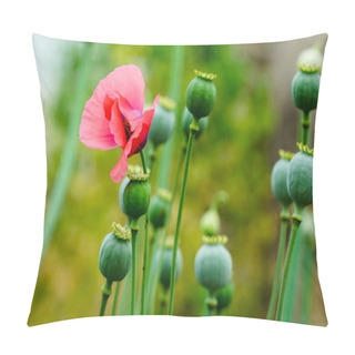 Personality  The Fruit Of The Opium Poppy, Which Is Occasionally A Photograph Of The Countryside. Pillow Covers
