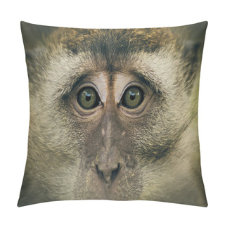 Personality  Monkey Eyes Pillow Covers