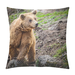 Personality  Brown Bear Pillow Covers