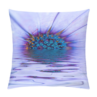 Personality  Abstract Gerbera Pillow Covers