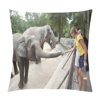 Personality  Woman Feeding The Elephant Pillow Covers