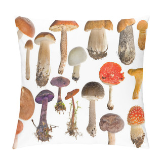 Personality  Nineteen Mushrooms Collection Isolated On White Pillow Covers