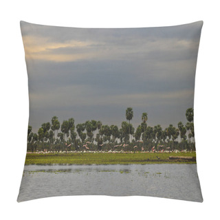 Personality  Palms Landscape In La Estrella Marsh Variety Of Bird Species, Formosa Province, Argentina. Pillow Covers
