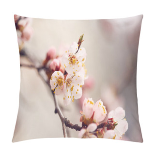 Personality  Spring Blooming Tree Pillow Covers