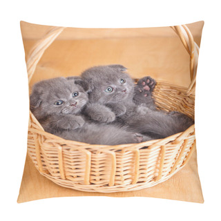 Personality  Small Kittens In Wicker Basket Pillow Covers