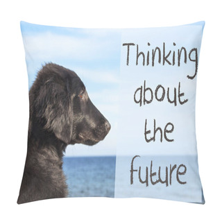 Personality  Dog At Ocean, Text Thinking About The Future Pillow Covers