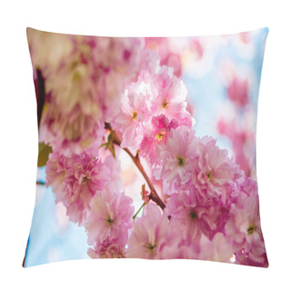 Personality  Close Up View Of Pink Flowers On Branches Of Sakura Tree  Pillow Covers