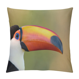 Personality  Toco Toucan Close Up. Pillow Covers