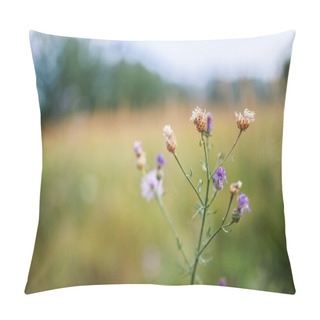 Personality  Cirsium Pillow Covers