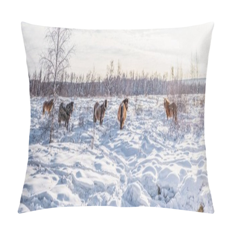 Personality  horses pillow covers