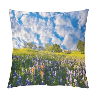 Personality  Bluebonnets And Indian Paintbrushes On Display In Rural Texas On A Sunny Spring Afternoon Pillow Covers