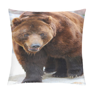 Personality  Grizzly Bear Walking Pillow Covers