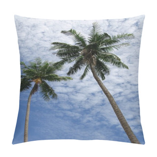 Personality  Bottom View Of Palm Trees In Front Of Cloudy Sky Pillow Covers