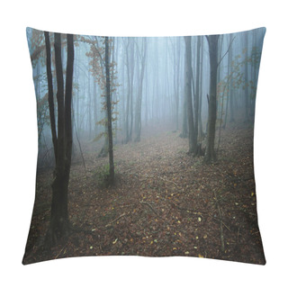 Personality  Sun Beam In A Dark Forest Pillow Covers