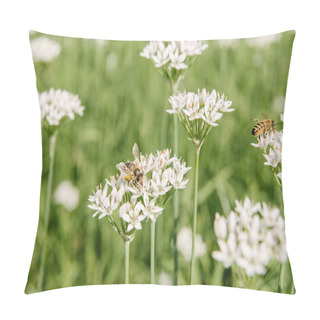 Personality  Close-up Shot Of Bees Sitting On White Field Flowers Pillow Covers
