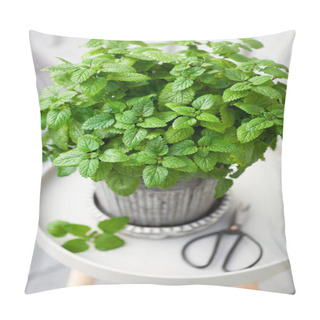 Personality  Lemon Balm (melissa) Herb In Flowerpot On Balcony, Urban Container Garden Concept Pillow Covers