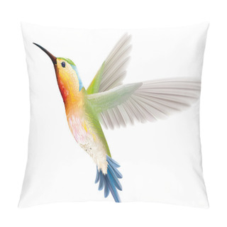 Personality  Hummingbird On A White Background Pillow Covers