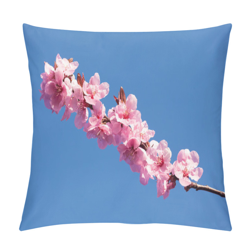 Personality  Cherry Blossoms Pillow Covers