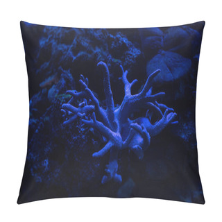Personality  Corals Under Water In Aquarium With Blue Lighting Pillow Covers
