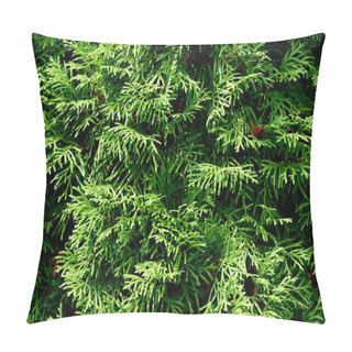Personality  Close Up View Of Green Plant With Beautiful Butterfly As Background Pillow Covers