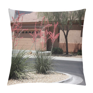 Personality  Community With Blooming Cactus Pillow Covers