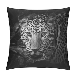 Personality  Close Up Black And White Leopard Portrait Pillow Covers