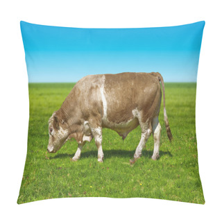 Personality  Big Bull Cow Pillow Covers