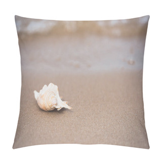 Personality  Seashell On Sandy Beach Pillow Covers