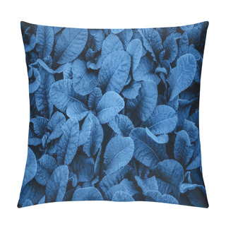 Personality  Close Up Of Tropical Leaves Background. Toned. Pillow Covers