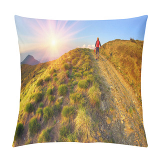 Personality  Clumps Of Grass In Mountains At Sunset Pillow Covers