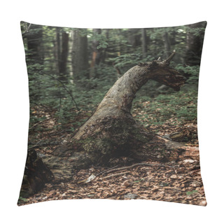 Personality  Selective Focus Of Dry Leaves Near Trees In Forest  Pillow Covers