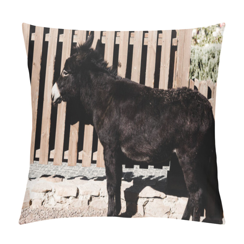 Personality  Sunlight On Black Donkey Standing Near Wooden Fence  Pillow Covers