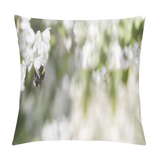 Personality  Summer, Spring Fairy Background. Large Bumblebee In Flowers.Floral Image For Spring Background Or Banner Template Pillow Covers