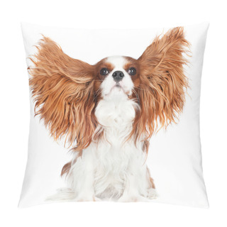 Personality  Cavalier King Charles Spaniel Dog Pillow Covers