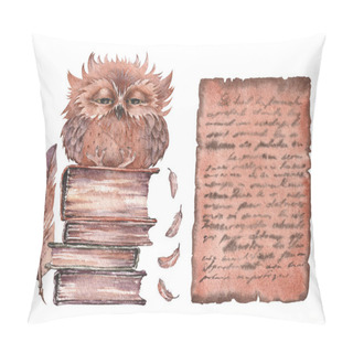 Personality  Vintage Parchment Paper, Old Books And Cute Owl. Pillow Covers